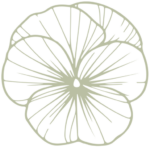 Заполнитель