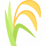 Травы и злаки
