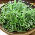 Вербена лимонная d12 — изображение 2