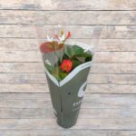 Антуриум d12