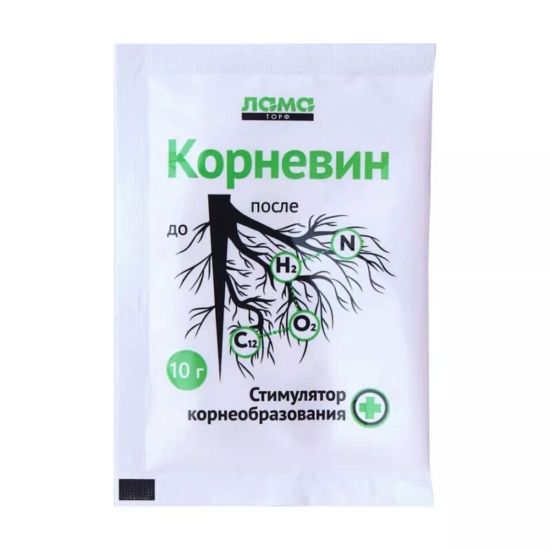 Корневин 10 г ТОНЭКС — изображение 1