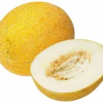 Дыня Колхозница кассета