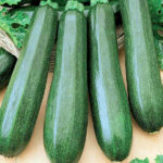 Кабачок Цукеша кассета