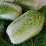 Капуста пекинская Медалист (Бокал) кассета