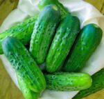 Огурец Голубчик кассета