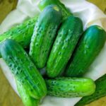 Огурец Голубчик кассета