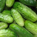 Огурец Нежинский кассета