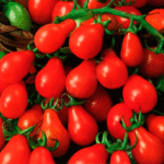 Томат Красный колокольчик кассета
