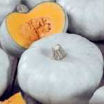 Тыква крупноплодная Крупноплодная 1 кассета