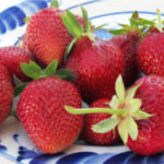 Клубника (земляника садовая) Флоренс ОКС (п)