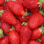 Клубника (земляника садовая) Квики ОКС (п)