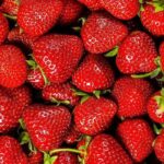 Земляника ремонтантная Сладкоежка "Sladkoezhka" d12