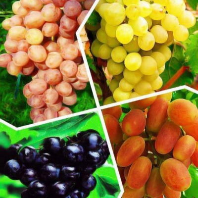 Виноград микс 2л